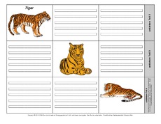 Leporello-Tiger-2-1-2.pdf